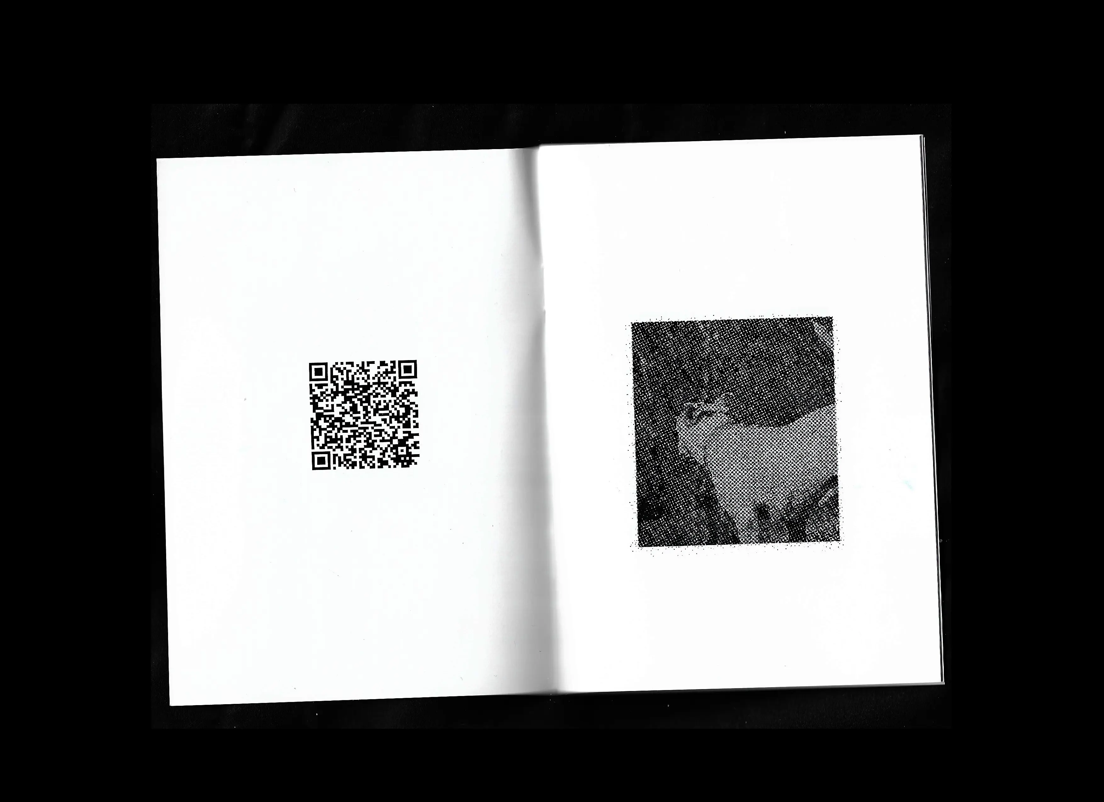 Fuzz 1 Fanzine w/ kNauff