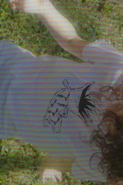 La mascotte di eterogenesi