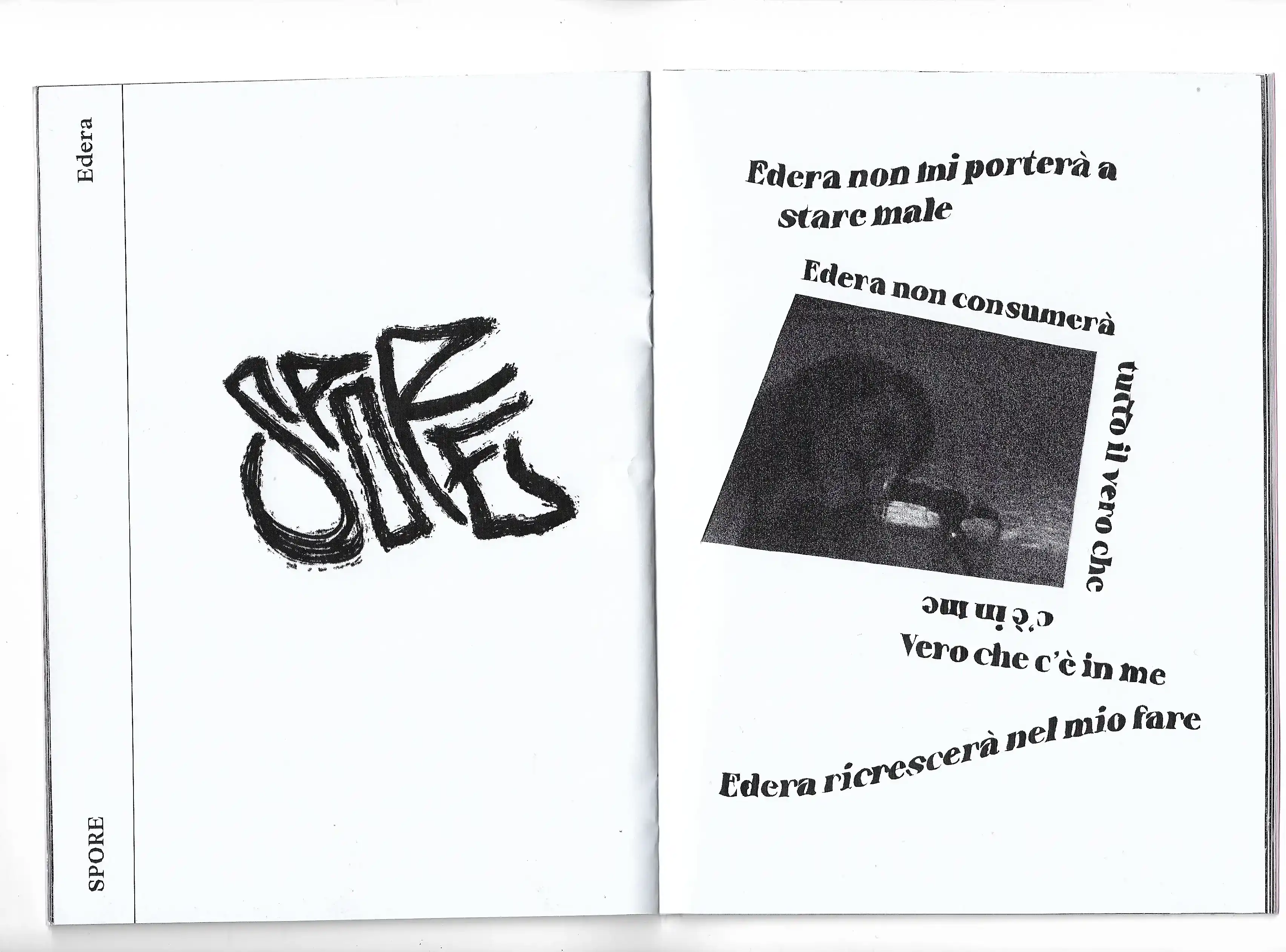 Vertebre off fanzine
